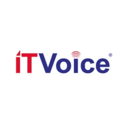 IT Voice Media